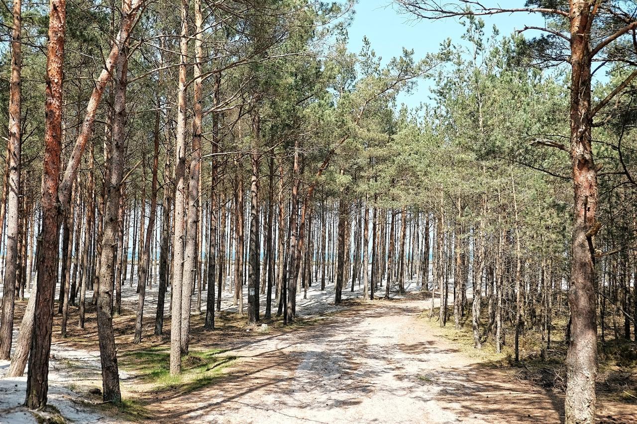 Dwor W Bychowie Gniewino Dış mekan fotoğraf